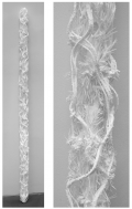 Mathieu Briand, Bâton foret , 2009, Selective laser sintering, material: polyamide , 160 cm, diameter 9 cm, Edition 2 of 3 + 1 AP, # BRIA0008 