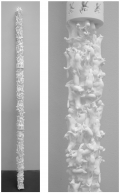 Mathieu Briand, Bâton loups, 2009, Selective laser sintering, material: polyamide, 160 cm, diameter 9 cm, Edition 2 of 3 + 1 AP, # BRIA0007 